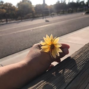 Meet your Posher, Lauren